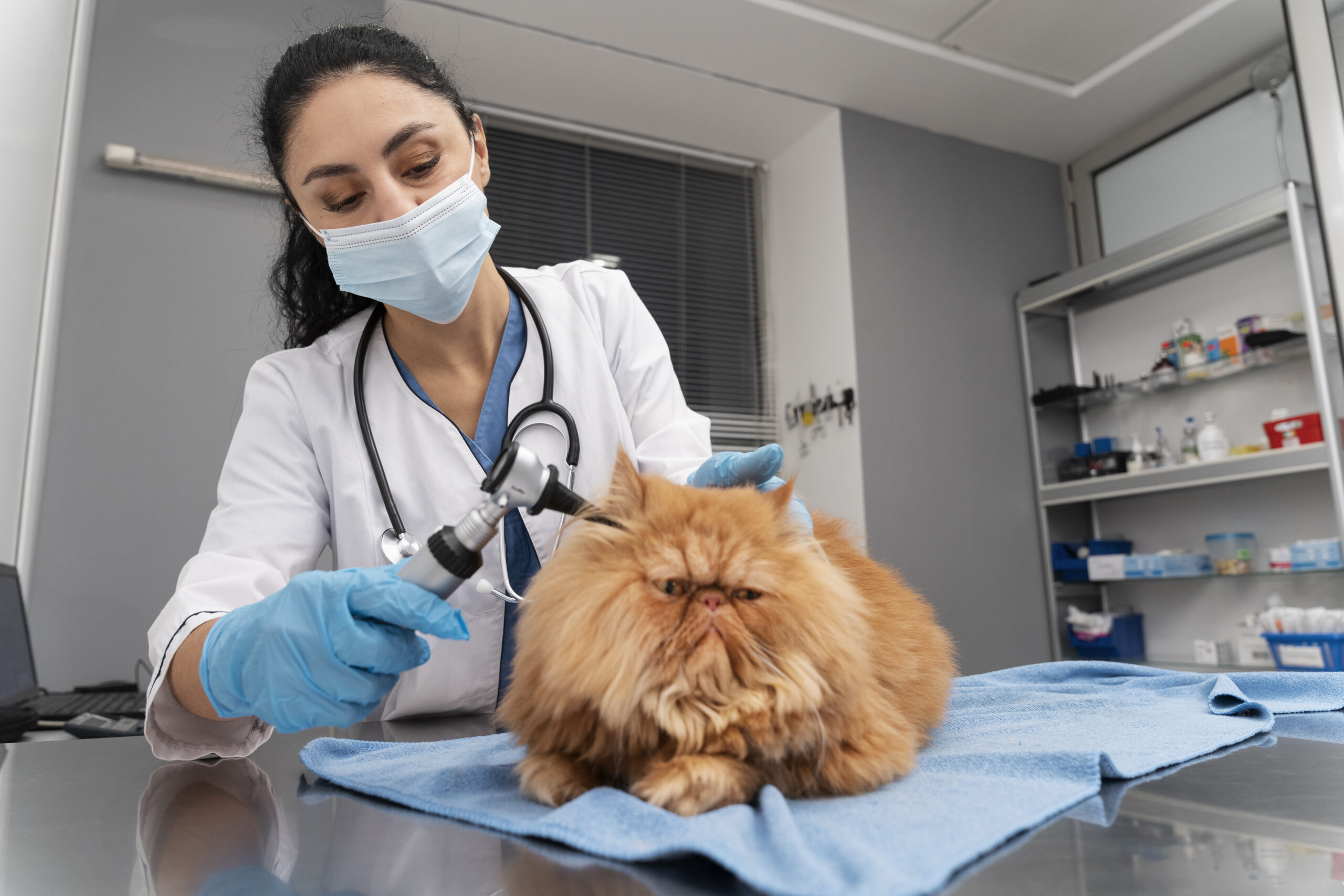 Más visibilidad y nuevos pacientes